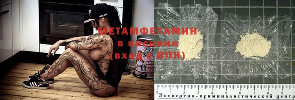 индика Козельск