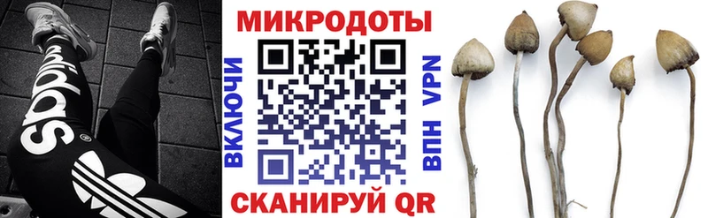Галлюциногенные грибы MAGIC MUSHROOMS  Заречный 