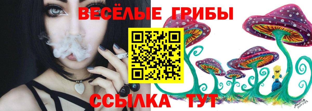Псилоцибиновые грибы ЛСД Заречный